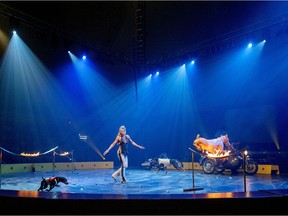Neecha Braun and her  Amazing Dobermans  during the Festival International de Cirque Vaudreuil-Dorion on June 21, 2014.