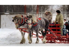 A horse-powered sleigh ride can be exhilarating, notes Victor Schukov.