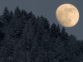 The Snow Moon rises next to snow-covered trees near Garmisch-Partenkirchen, in southern Germany, in 2012.