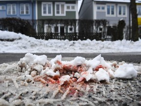 A splash of blood at the street where two men in their 20s was shot dead Wednesday night while sitting in a car in a Stockholm suburb Kista, on Thursday March 9, 2017, where feuds between criminal gangs fighting over territory have taken place, police officials said. (Pontus Lundahl /TT via AP)