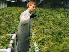 Aurora Cannabis executive vice-president Cam Battley at the company's Mountain View County, Alberta production facility. Photo courtesy of Cam Battley