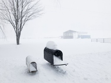 Snow stacked up to the mailboxes on March 14, 2017 outside of Union Dale, Pennsylvania. The blizzard was just getting started.