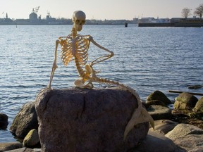 A photo obtained on April 1, 2010 from the Statens Naturhistoriske Museum shows a mermaid skeleton placed on the rock where Copenhagen's famous 'Little Mermaid' statue habitually sits, as an April Fool joke.