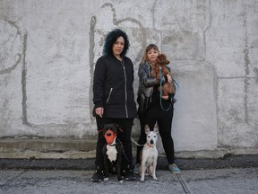 Mona the pit bull with owner Jennifer Elliot, her daughter Maya Bryant Elliott (who happened to be on a visit), Bentley the poodle, and Dodo the Terrier mix.