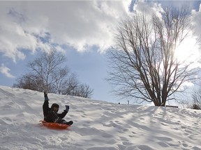 A child sleds at Morgan Arboretum in 2011.