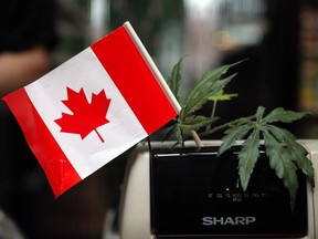 A cash register is adorned with a Canadian flag and imitation marijuana leaves at the BC Marijuana Party Headquarters in Vancouver in 2010.