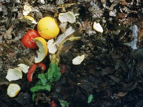 A quarter of household waste is organic.