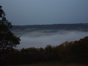 Our wine columnist awoke from a ghoulish night in fog-shrouded Projan, France.