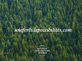 Still from a promotional video for the campaign "Une forêt de possibilités" funded by the Quebec government and Quebec Forest Industry Council.