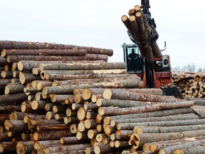 Logs are unloaded at Murray Brothers Lumber Company woodlot in Madawaska, Ont. on Tuesday April 25, 2017. Ontario is increasing funding for forest access roads by $20 million in response to the softwood lumber dispute between Canada and the U.S.