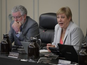 Vice-chair Noel Burke, left, is replacing chair Suanne Stein Day, pictured, who has taken an extended leave for personal reasons.