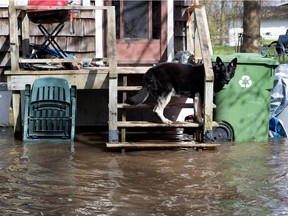 The Rivière des Prairies floods Île-Mercier on May 3.