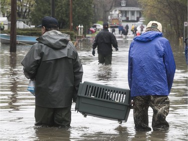 Residents carry their pets to safer ground, away from flooded Jean-Yves St. in Ile Bizard on Saturday May 6, 2017.