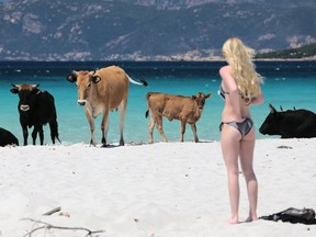 Photo of the day: A woman looks at cows on the Mare e Sol beach in Coti-Chiavari, on the French Mediterranean island of Corsica, May 17, 2017. A herd of 30 wild cattle take up their summer residence on stretch of beach each year.