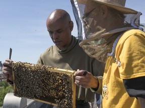 John Levasseur and John Ungar, right, tend to beehives on rooftop of the Accueil Bonneau day centre June 15, 2017.