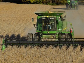 A farmer harvests his soybean field in Loami, Ill.: Soybeans have an array of industrial applications.