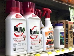 In this Thursday, Jan. 26, 2017, photo, containers of Roundup, left, a weed killer is seen on a shelf with other products for sale at a hardware store in Los Angeles. California regulators are taking a pivotal step toward requiring the popular weed killer Roundup to come with a warning label. The state&#039;s Office of Environmental Health Hazard Assessment announced Monday, June 26, 2017, that the weed killer&#039;s main ingredient, glyphosate, will be listed in July as a chemical known to cause cancer.