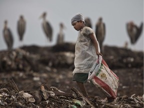 Photo of the day: An Indian ragpicker boy searches for recyclable material as Greater Adjutant stork birds sit at a garbage dumping site on the outskirts of Gauhati, Assam state, India, June 5, 2017. Monday marks World Environment Day.