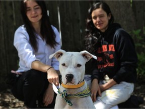 Pinky the Dogo Argentino mix with Hilary King (left) and Gabriela Paoletti.