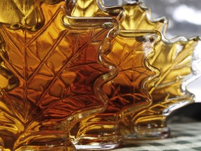 Bottles of maple syrup in a window.