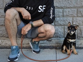 Show stopper: This 9-week-old Shiba Inu puppy, Kamina, causes a sensation when his owner, Caster Parham, takes him on walks. Here they are outside on Fairmount St. in Montreal's Mile End neighbourhood.