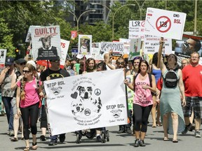 On global anti-BSL day on Saturday, July 15, 2017, Montreal dog-lovers demonstrate against the province's Bill 128, which would force municipalities to ban dangerous dog breeds.