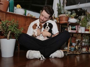 John and Jacqueline Kennedy have a promising future: Owner Ian Kennedy wants the puppies to be trained as therapy dogs so they can bring joy and serenity to others.