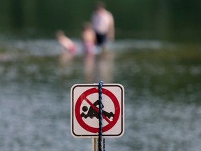 Sign posted to outline a restricted no-swimming area.