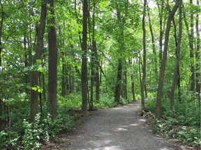 Centennial Park in Dollard-des-Ormeaux, is scavenger-hunt central, July 15.