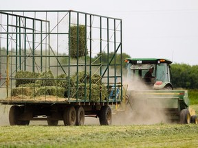 A Quebec farmer hays their field.
