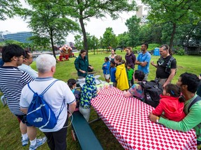 Parks Canada holds free workshops to teach basic camping skills in Jardin des Écluses at the west end of Montreal's Old Port on Saturday, July 15, 2017. Here, an instructor shows how to prepare food on an outdoor stove. Courtesy of Parks Canada