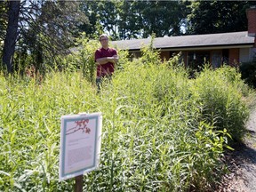 Peter Graham stands in the naturalized garden outside his Pointe-Claire home last summer.