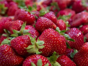 Quebec strawberries.