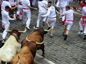 Participants run ahead of fighting bulls during the seventh bull run of the San Fermin festival in Pamplona, northern Spain.