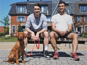 Wilson the Hungarian Vizsla puppy sits in the noon sun with brothers Michael, left, and Ricky Fania.