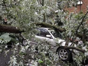 A large tree branch fell onto a car in southwest Montreal as a string of thunderstorms descended on the region Tuesday, Aug. 22, 2017.