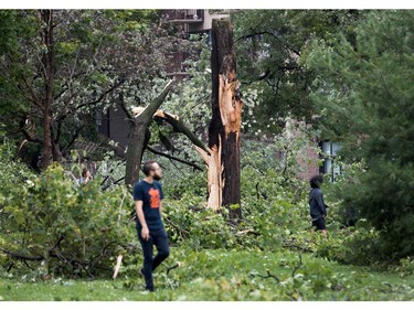 People survey the damage after a storm ripped through N.D.G. Park, damaging most trees in the park, in Montreal on Tuesday August 22, 2017.
