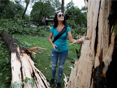 Christine Meagher surveys the damage after a storm ripped through N.D.G. Park, damaging most trees in the park, in Montreal on Tuesday August 22, 2017. Meagher, who lives a few blocks away, often visits the park and was shocked to see the extensive damage.