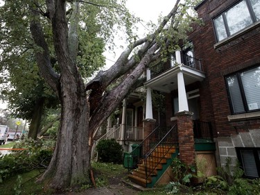 A damaged tree leans on a home on Royal Ave. after a storm ripped through Notre-Dame-de-Grâce in Montreal on Tuesday, Aug. 22, 2017.