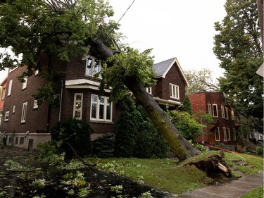 A damaged tree crushed the roof of a home on Royal Ave. after a storm ripped through Notre-Dame-de-Grâce in Montreal on Tuesday August 22, 2017. The homeowner says the city had recently dug up the roots to replace a section of sidewalk directly in front of the tree.