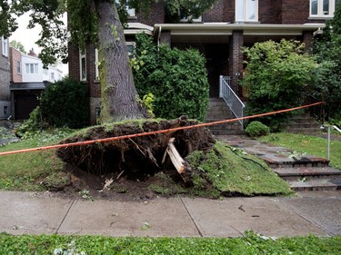 A damaged tree crushed the roof of a home on Royal Ave. after a storm ripped through Notre-Dame-de-Grâce in Montreal on Tuesday August 22, 2017.