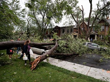 Falling trees crushed cars along many side streets in N.D.G.