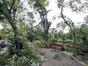 Clean-up is ongoing N.D.G. Park, pictured on Aug. 23, following a microburst rain storm.