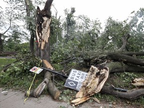 Storm damage in N.D.G. Park in Montreal is seen Wednesday, Aug. 23, 2017 following Tuesday's microburst rain storm.