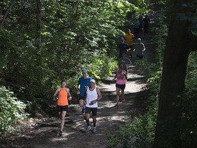 Ultra-trail running on Mount Royal can acquaint Montrealers with a part of the landscape we often take for granted.