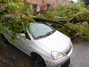 A large tree branch fallen onto a car in southwest Montreal as a string of thunderstorms descends on the region Tuesday, Aug. 22, 2017.