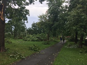 While Notre-Dame-de-Grâce Park remains closed following Tuesday's storm, many N.D.G. Arts Week activities have been moved to Trenholme Park.