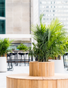 One of two new terraces for events, weddings and conferences at Fairmont The Queen Elizabeth Hotel.