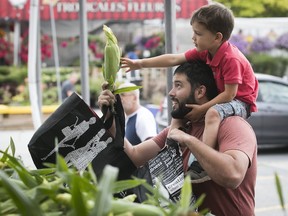 Olivier Languedoc gets a helping hand from his three year-old son, Arnaud, as they choose a dozen corn at Atwater market on Monday Sept. 4, 2017.