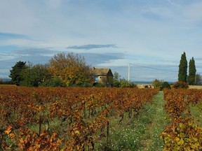 Basic Côtes du Rhône can be produced in 171 communes throughout France's Rhône Valley.